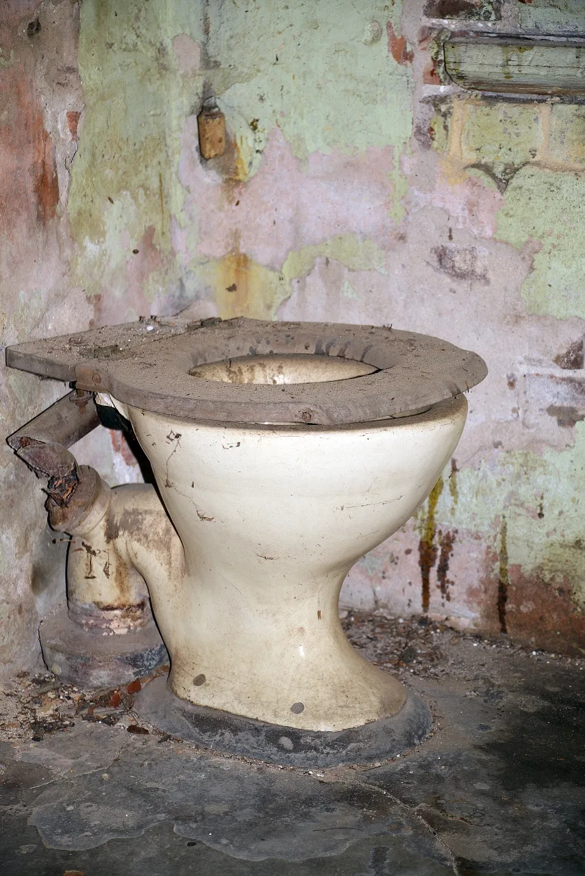 Decoding Australian Public Toilets