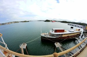 The Story of Balls Head Reserve