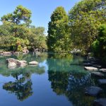 The Beautiful Auburn Botanic Gardens - Photograph By Mike Fernandes