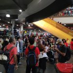 Bustling Paddy's Market, Haymarket