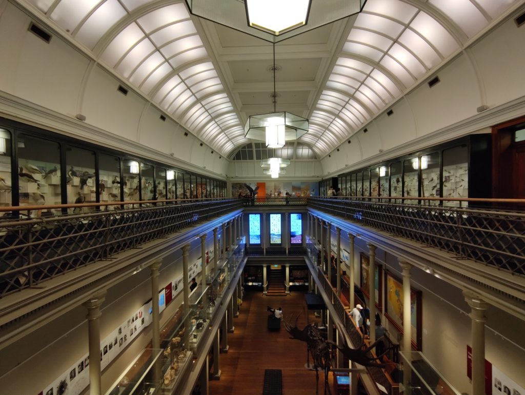 Australian Museum, Sydney - Photo By Mike Fernandes