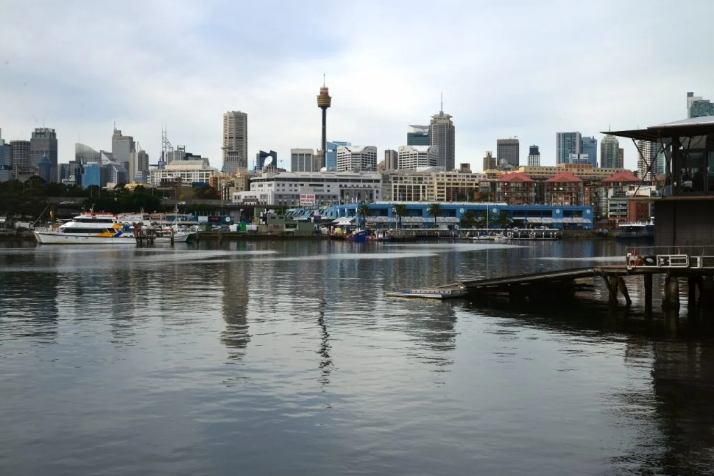 Sydney CBD From The Ground Up - Photographs By Mike Fernandes