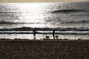 Maroubra Beach Is A Symphony of Seasons - Photographed By Mike Fernandes