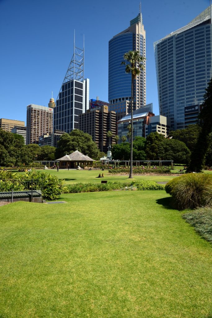 Sydney CBD From The Ground Up - Photographs By Mike Fernandes