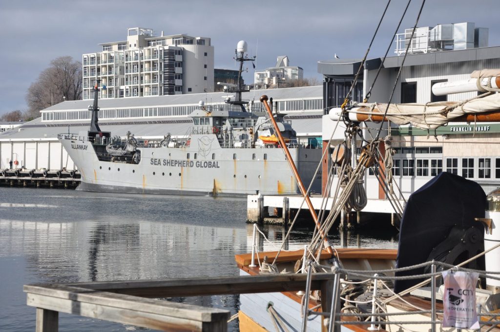 The Allankay Is One Of Sea Shepherd’s Guardians of the Southern Ocean - Photo By Mike Fernandes