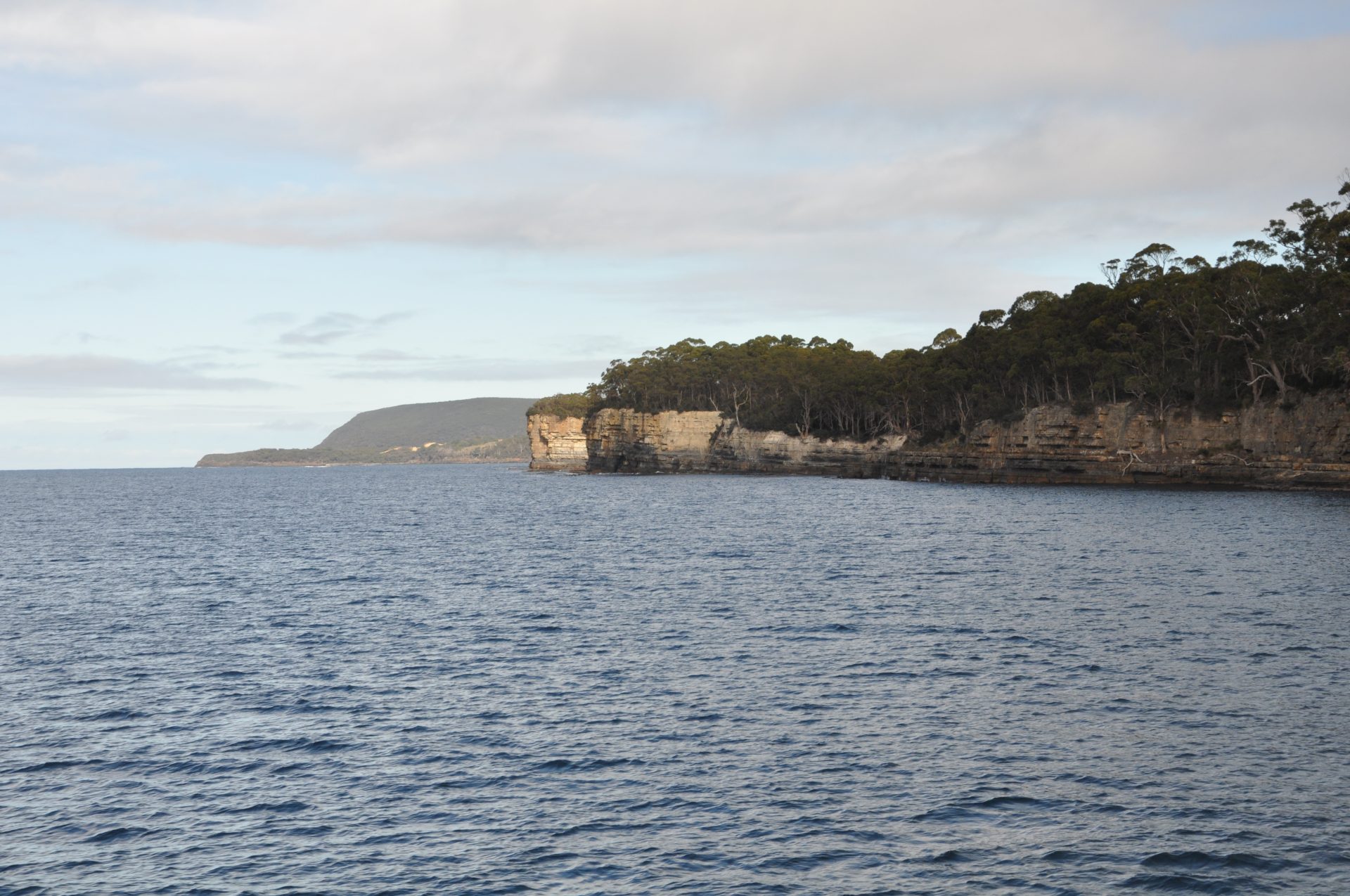 Great Wild Nature Areas Around Hobart