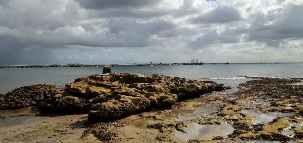 The Amazing Import / Export World Port Botany - Photos By Mike Fernandes