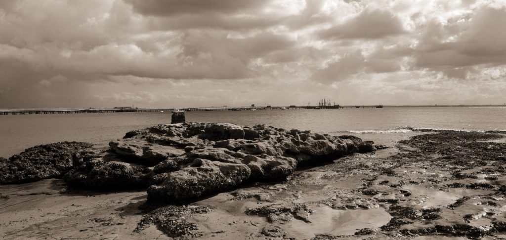 Botany Bay, NSW, Australia - Photographs By Mike Fernandes