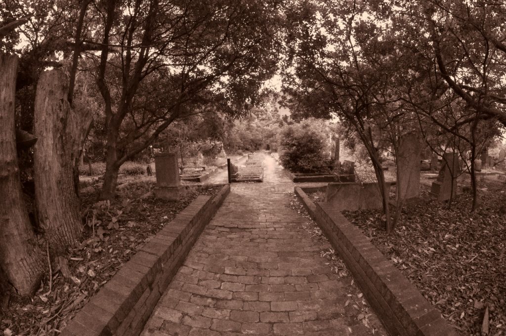 The Historical Tapestry of Gore Hill Cemetery - Photos By Mike Fernandes