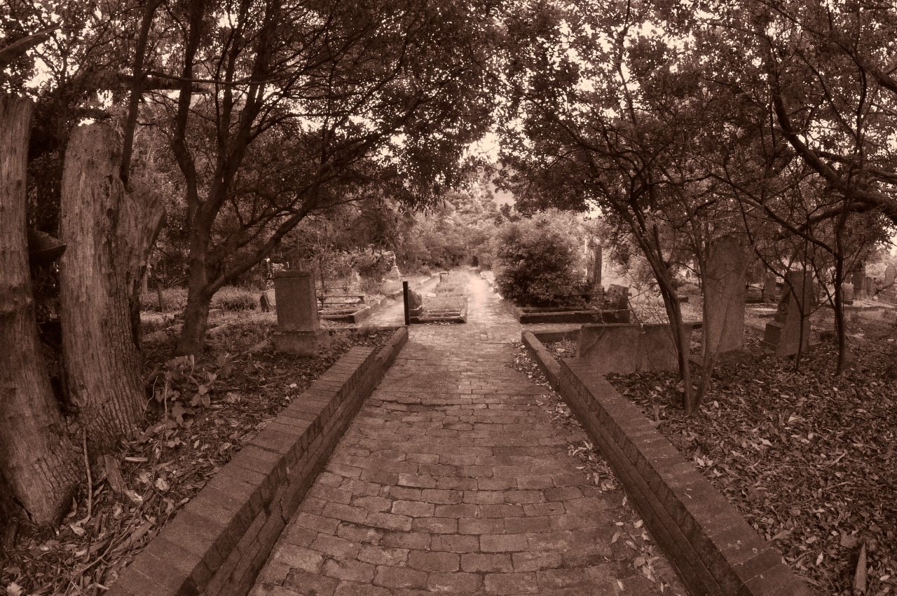 Unique Historical Tapestry of Gore Hill Cemetery