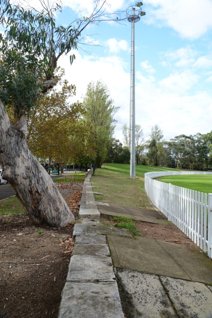 Erskineville Oval History - Photos By Mike Fernandes