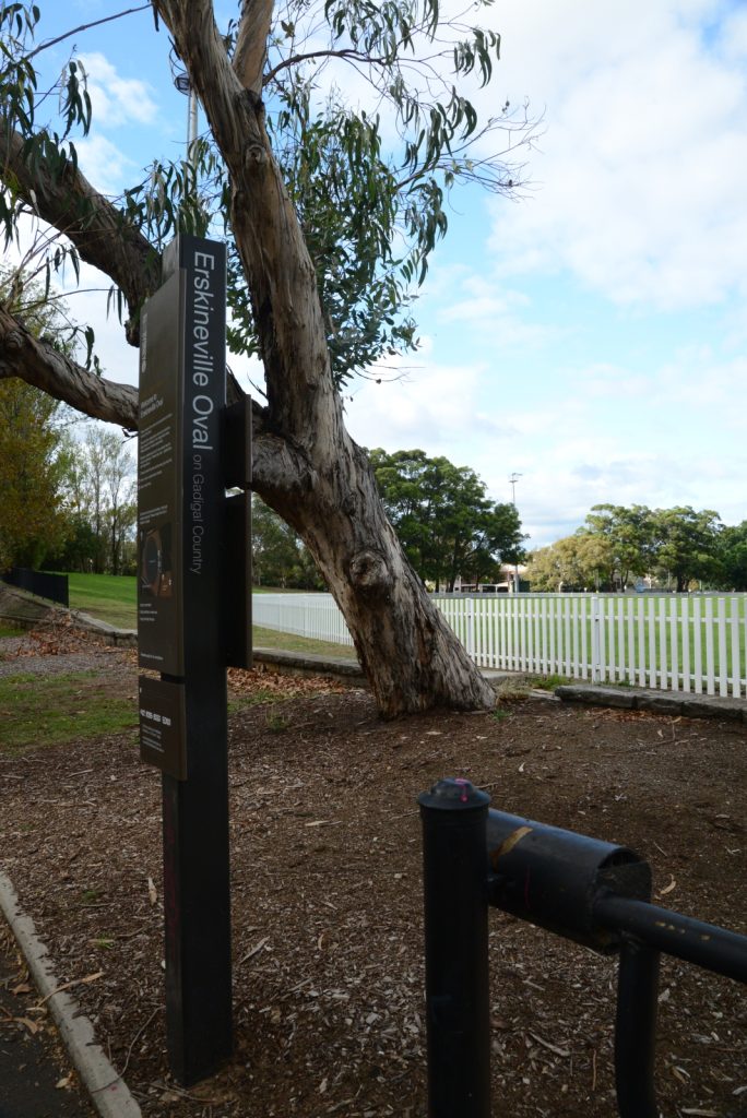 The Icon Erskineville Oval - Photos By Mike Fernandes