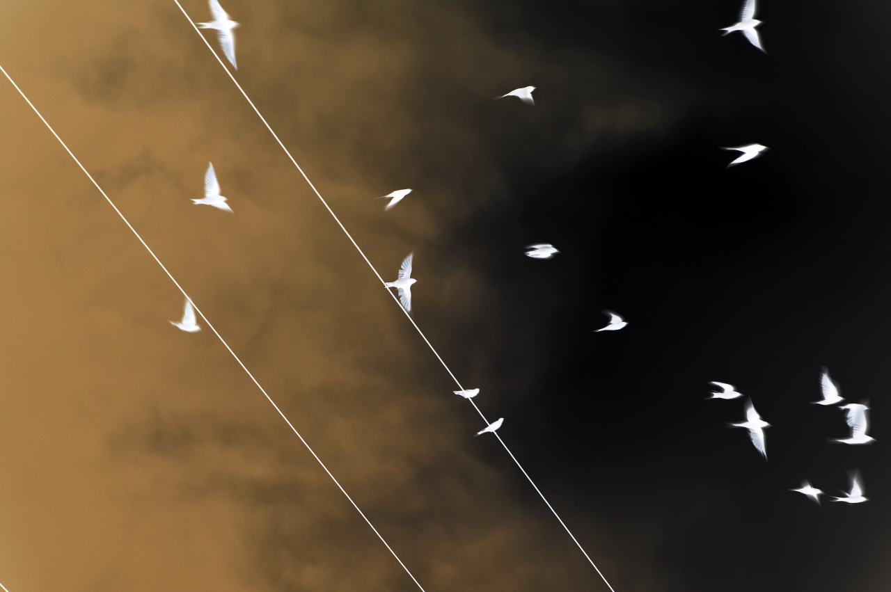 The Influence of Media on Mental Health - Photos By Mike Fernandes