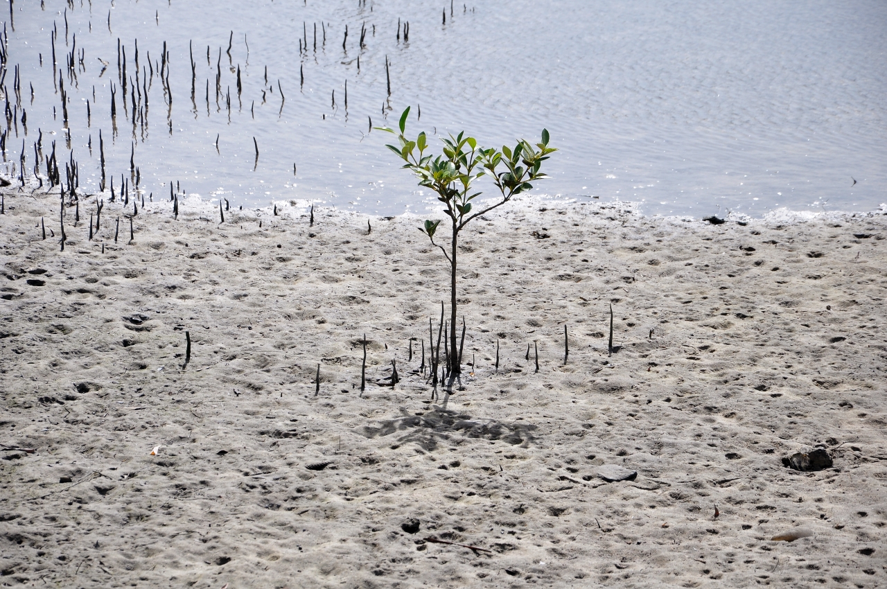 The Benefits of Embracing Creativity Long-Term - Photos By Mike Fernandes