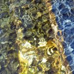 Sydney Harbour Magical Mystery Tour That Rocks The Marine World - Photos By Mike Fernandes