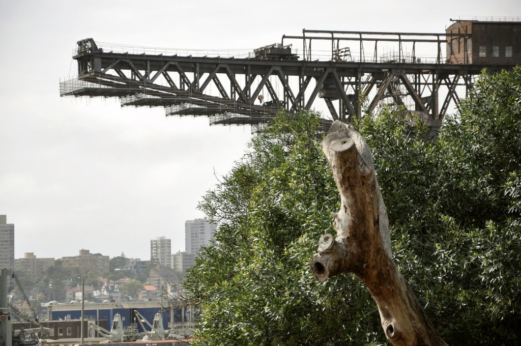 Past, Present & Future - Photos By Mike Fernandes