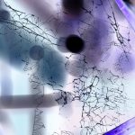 Australia's Future Post-Inauguration 2025 - Photos By Mike Fernandes