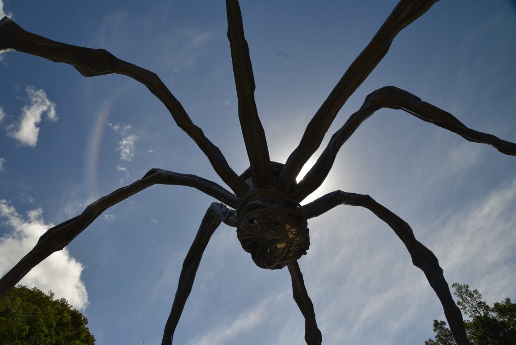 The Though Provoking Art Gallery of New South Wales - Photos By Mike Fernandes