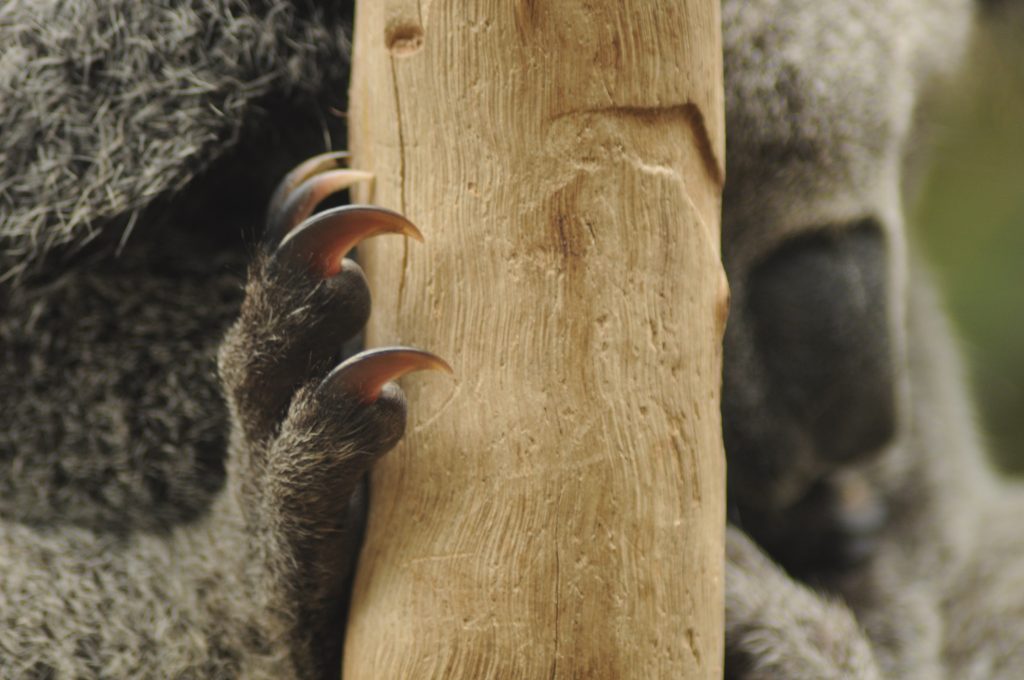 A Tourism Hotspot or Business Hub? - Photos By Mike Fernandes