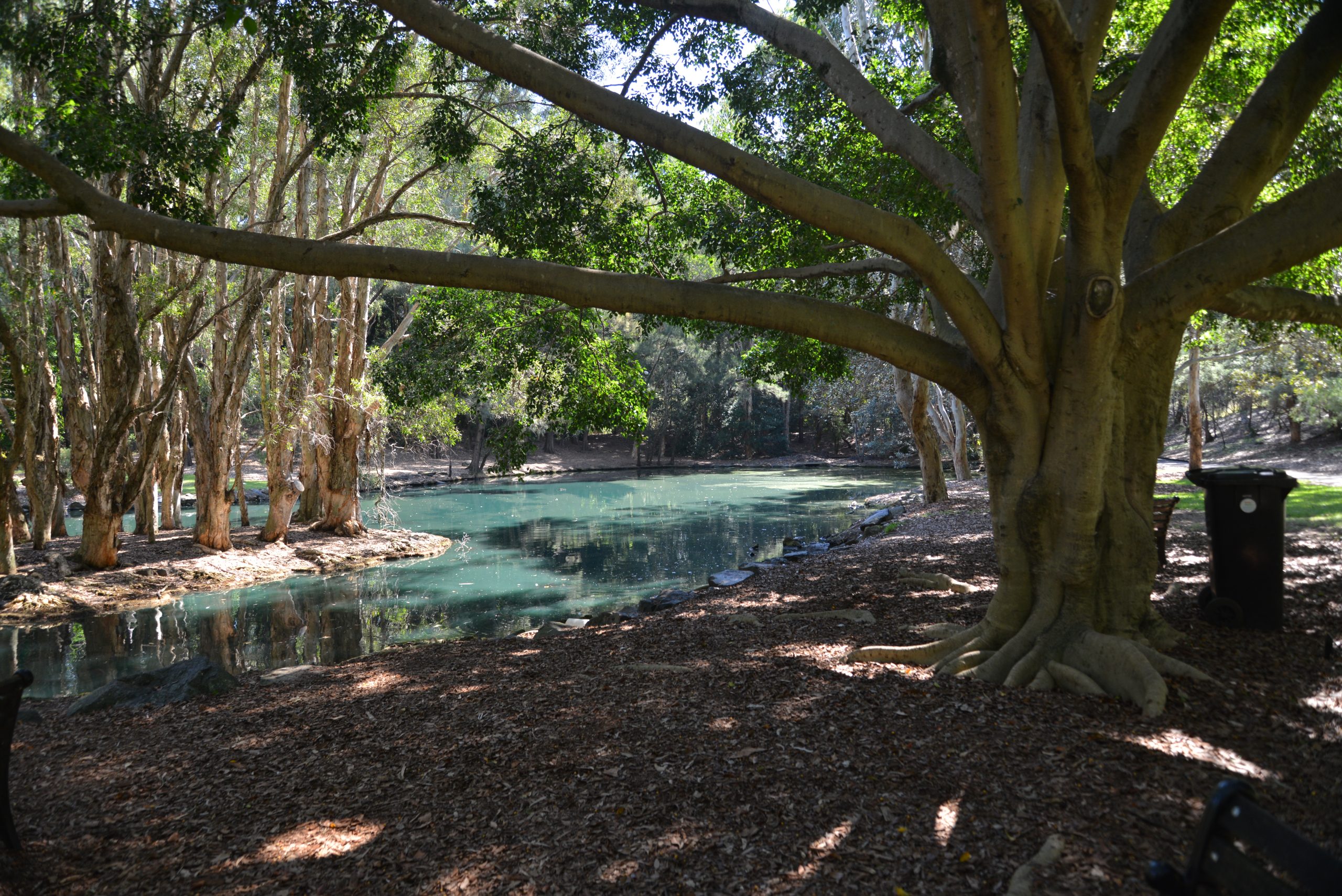 A Unifying Spirit Across Celebrations - Photos By Mike Fern