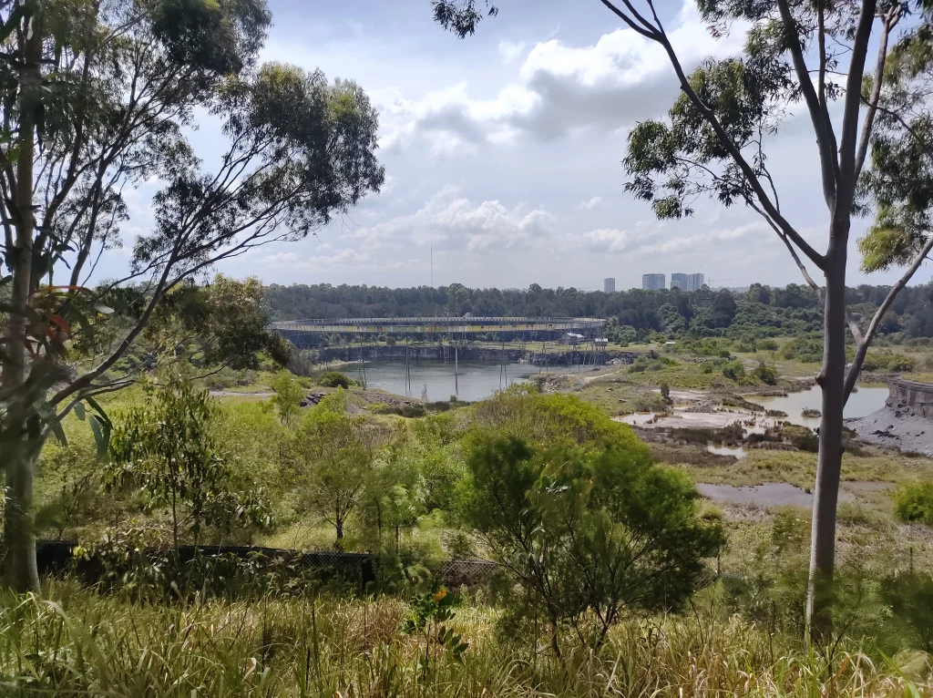 Sydney And The Morning - All Photos Taken By Mike Fernandes