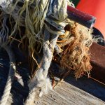 Why Street Cleanliness And Litter Reduction Is A Priority In Sydney And Australia - Photos By Mike Fernandes