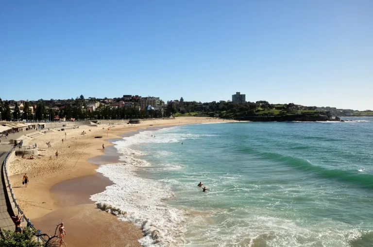 The Environmental Commodities Of Sydney - Photos By Mike Fernandes