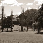 The Role of Community and Government - Photos By Mike Fernandes