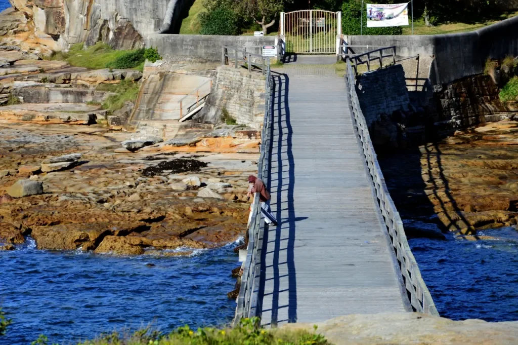 How Bridges Support Routine Movement - Photos By Mike Fernandes