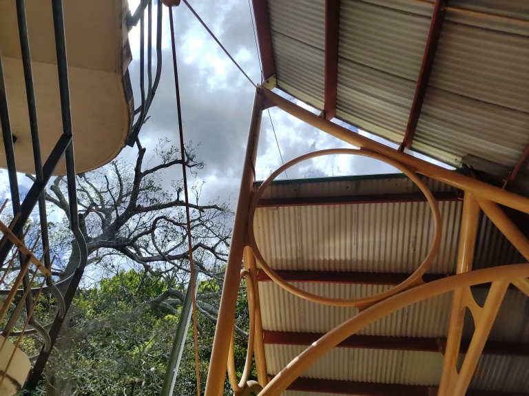 The Changing Movement In Shaping Sydney Landscape - Photos By Mike Fernandes